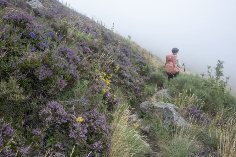 Grande traversée des volcans d'Auvergne