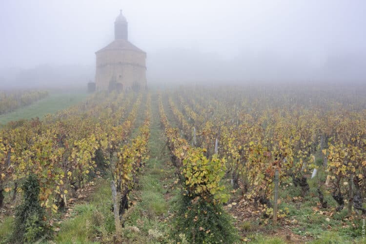 Tour du Beaujolais des Pierres dorées