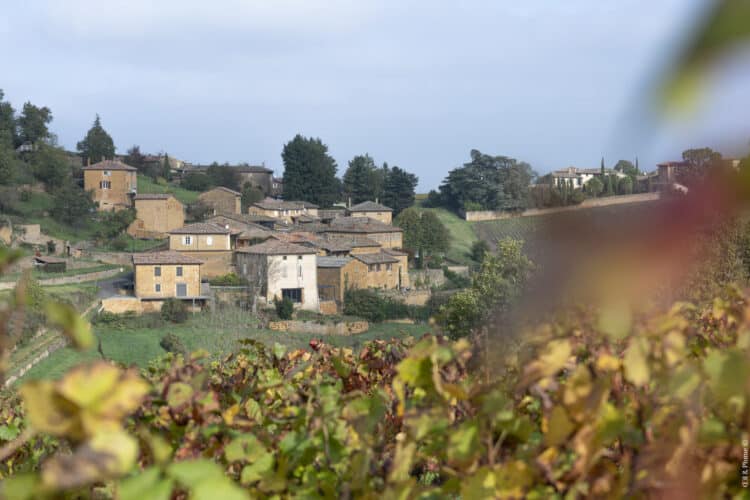 Tour du Beaujolais des Pierres dorées
