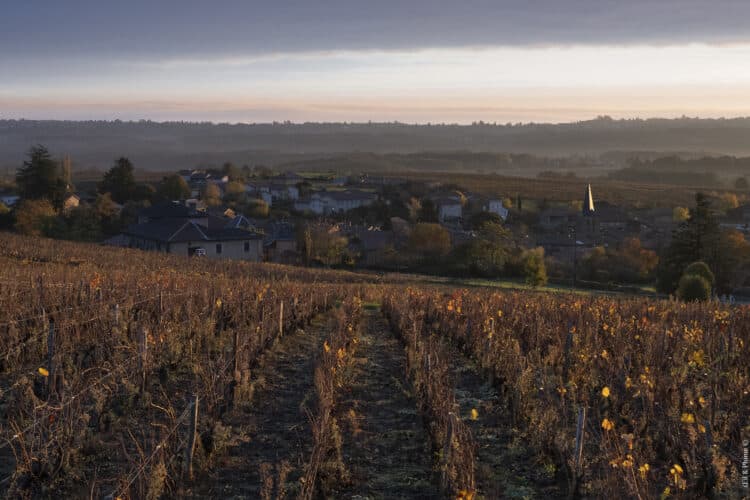 Tour du Beaujolais des Pierres dorées