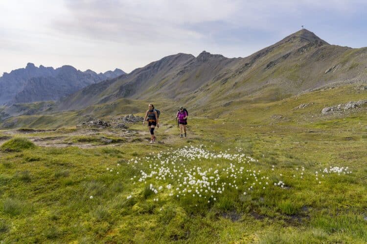 Dans la montée ua col de Chardonnet Sud