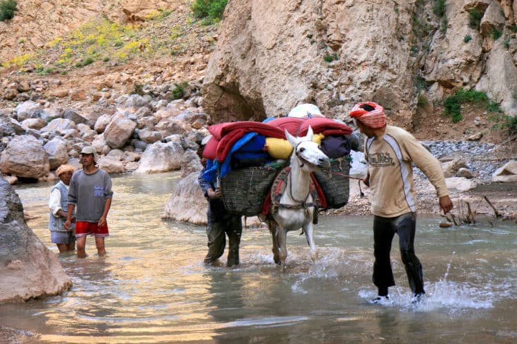 Les mules dans l'assif Melloul