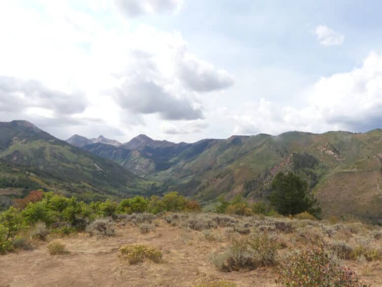 Rim Trail