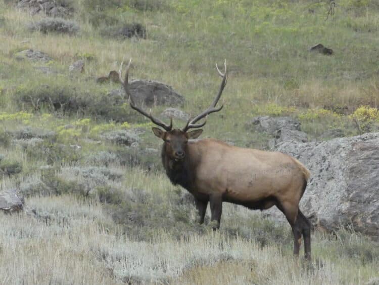Rocky Mountain National Park