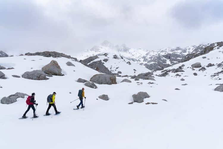 Picos de Europa