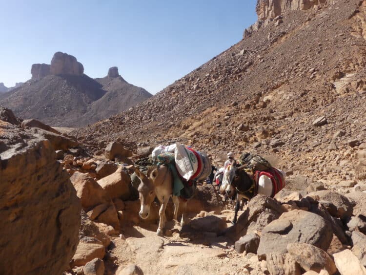 Montée sur le plateau des Ajjers