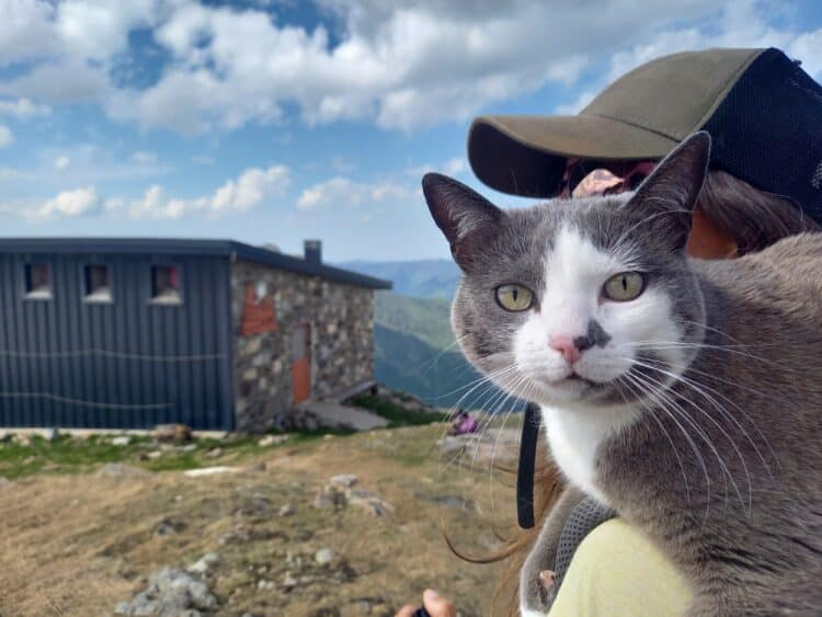 La gardienne et son chat, Sentier des refuges du Luchonnais