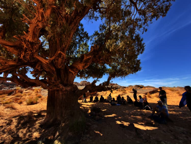 Trek au Tassili des Ajjers