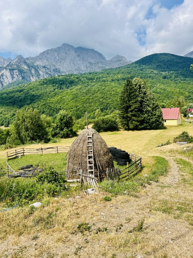 Forte activité agricole en approchant du Durmitor, Transdinarica à vélo