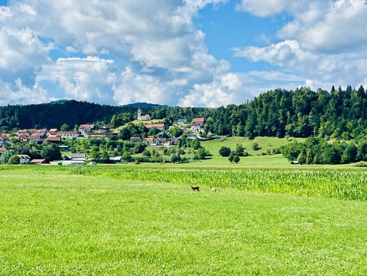 La Suisse des Balkans et ses paysages Suisse ..., Transdinarica à vélo