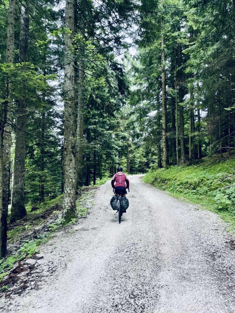 Route slovène ..., Transdinarica à vélo