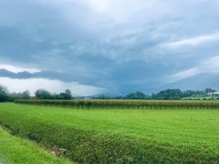 Campagne Italienne
