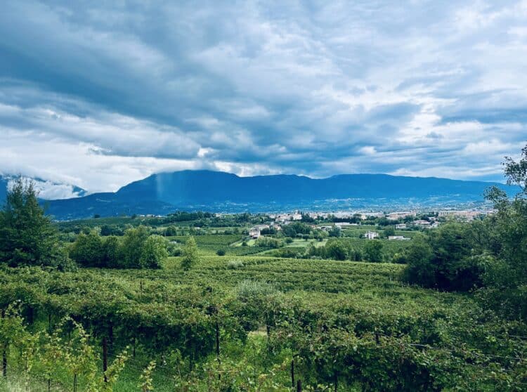 Campagne Italienne