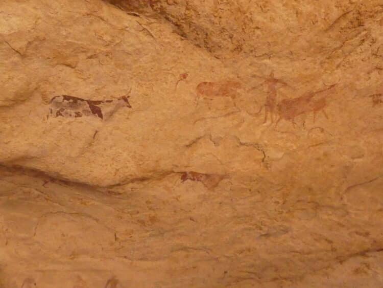 Peintures rupestres à Séfar