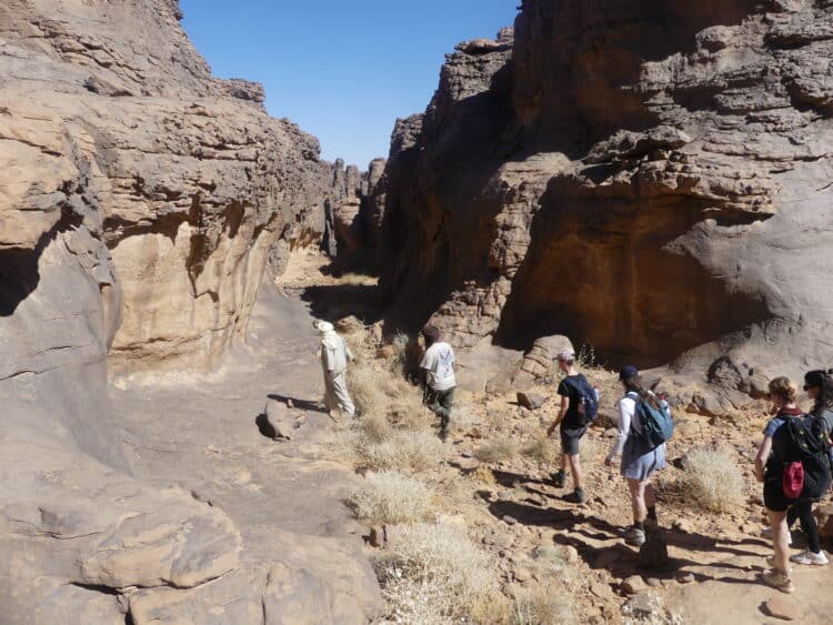 Trek au Tassili des Ajjers