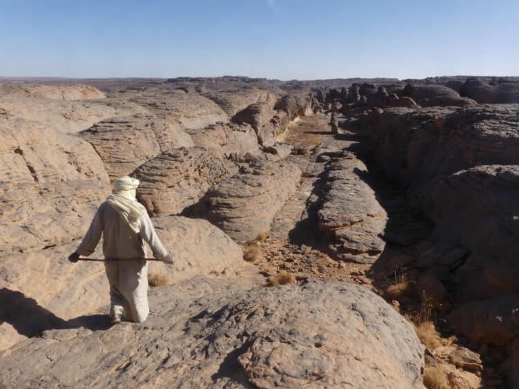 Trek au Tassili des Ajjers