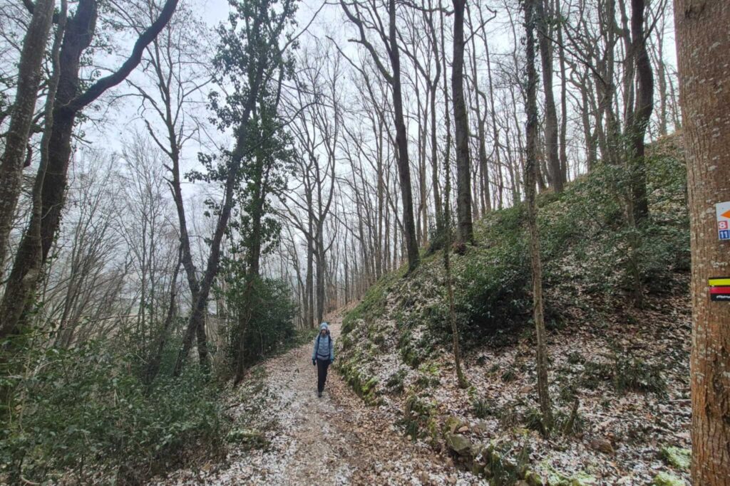 Descente forestière environs Pet d'âne, 2 jours de randonnée dans le Pays Roannais et les Gorges de la Loire