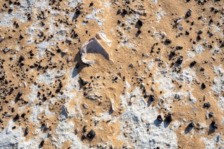 Fossile d'hutire, Désert Blanc