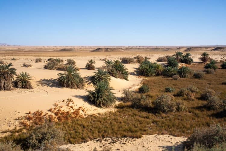 Wadi el Saghir