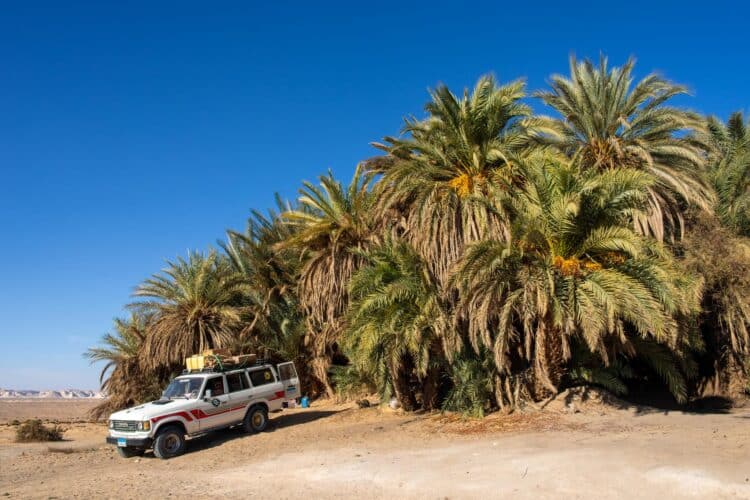 Ain Khadra