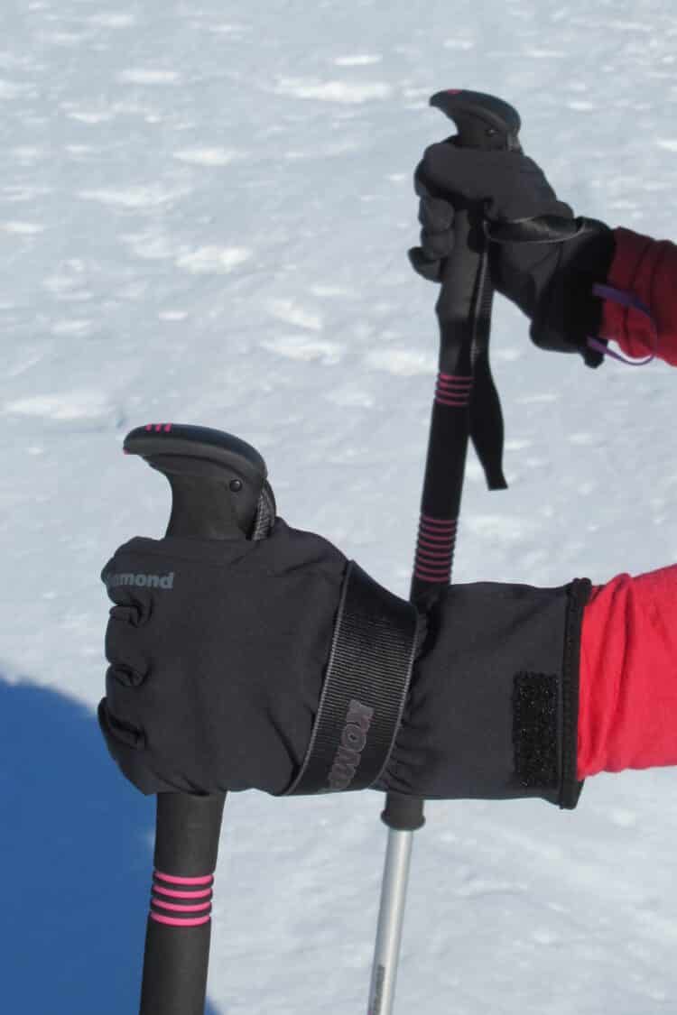 Dragonnes confortables des bâtons Komperdell