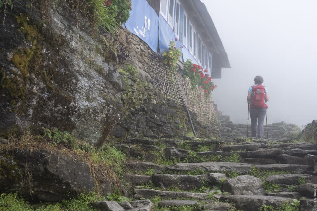 Khopra Ridge Trekking