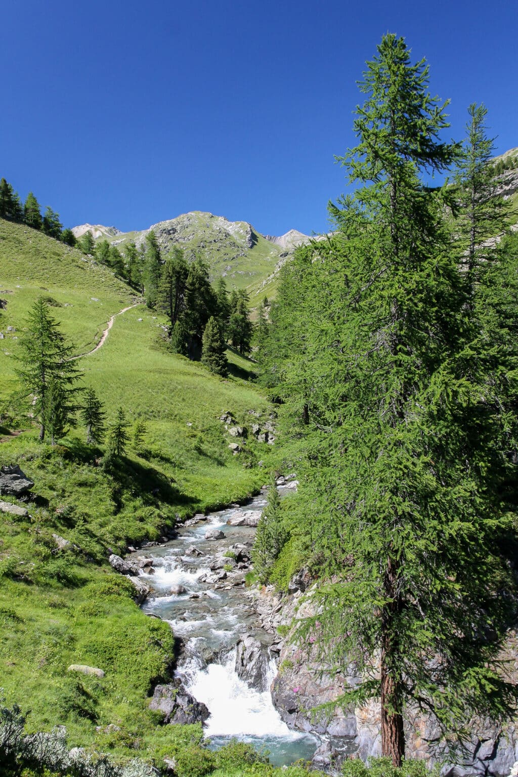 tour de la tete de la cassille gregoryrohart 8