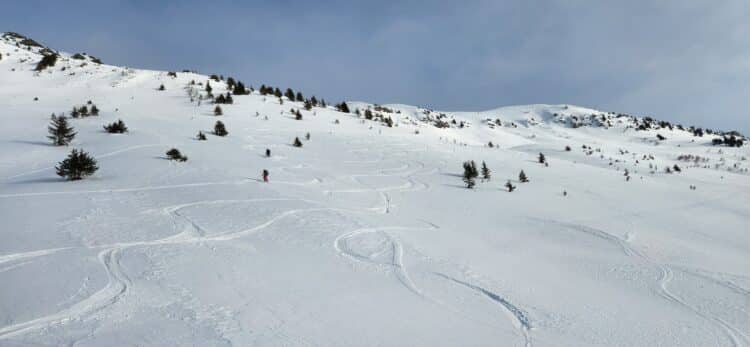 Descente à ski