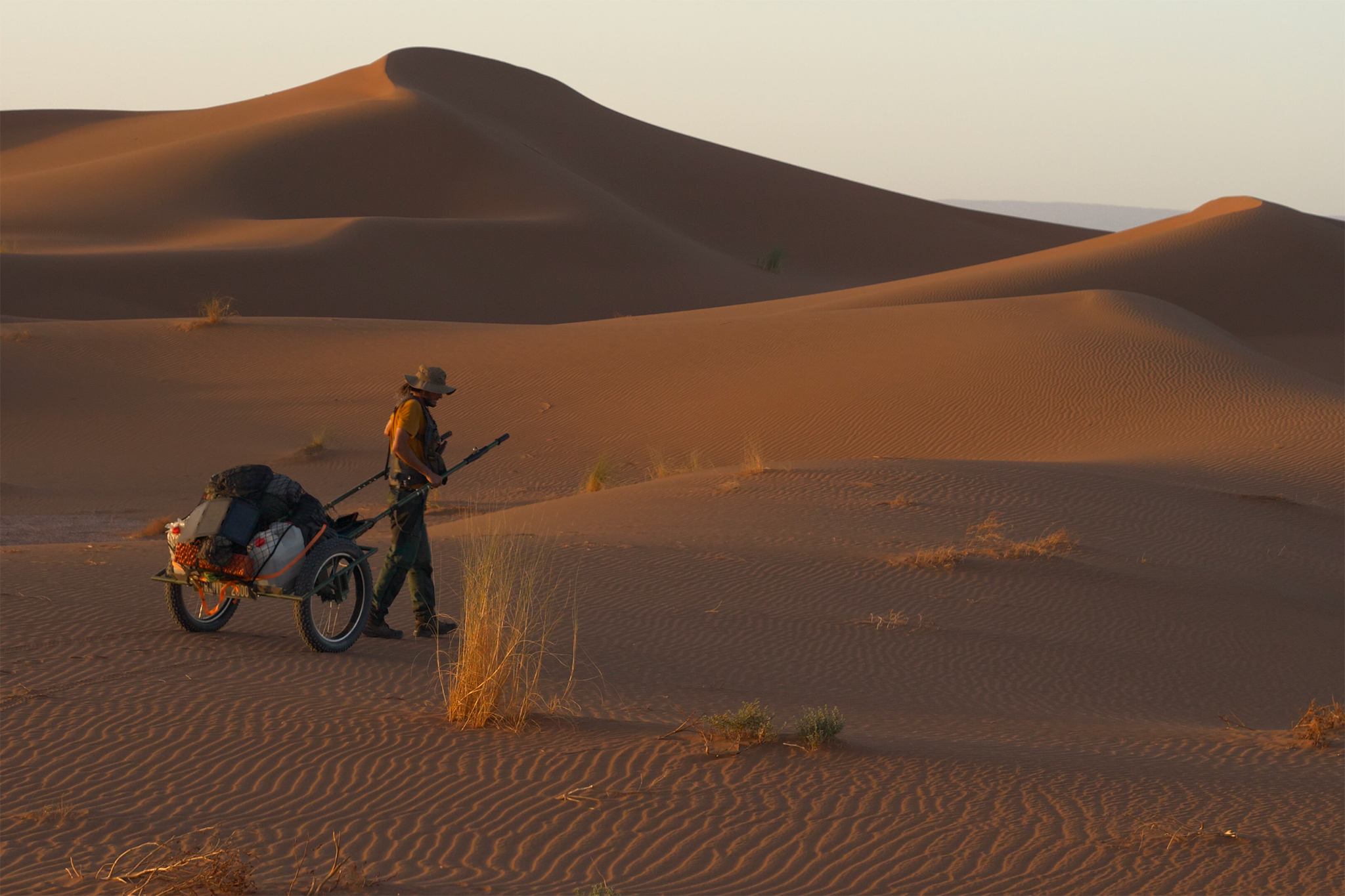 550 km à pied dans le Sahara marocain