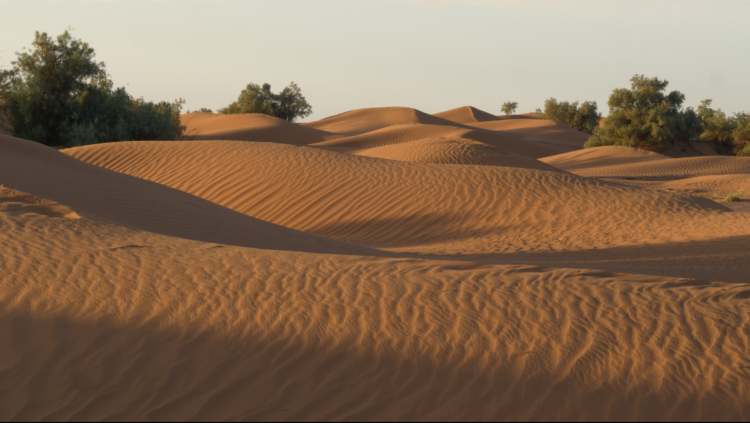 550 km à pied dans le Sahara marocain