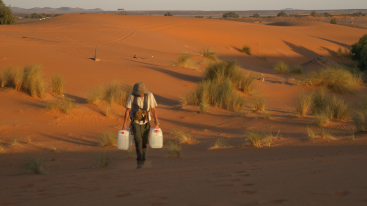 550 km à pied dans le Sahara marocain