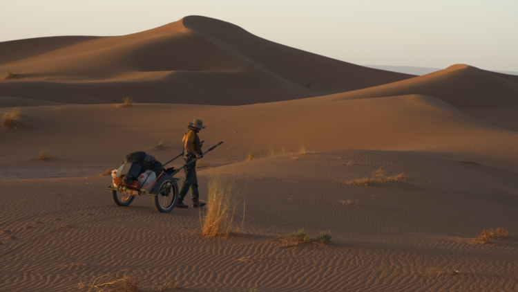 550 km à pied dans le Sahara marocain