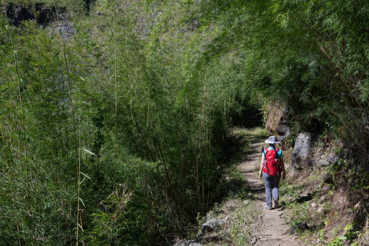 Népal : Trek de Naar et Phu