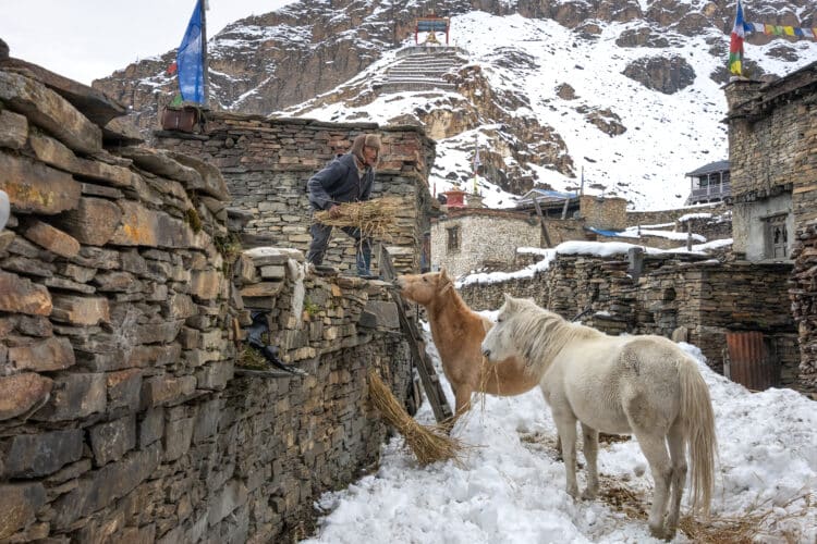 Népal : trek de Naar et Phu