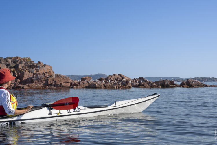 Höga Kusten Skårgärd, la Haute Côte suédoise en kayak de mer