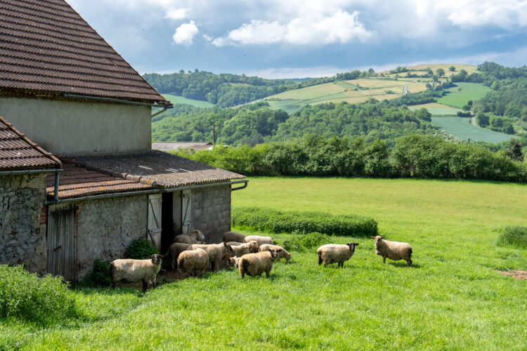Sur le GR de Pays du Val de Sioule