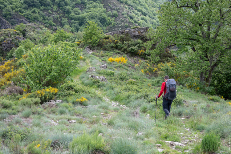 6 jours sur le sentier GRP Le Cévenol