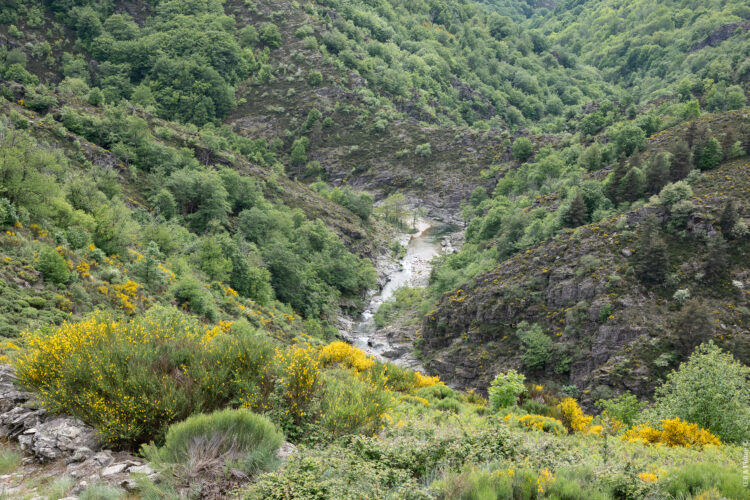 6 jours sur le sentier GRP Le Cévenol