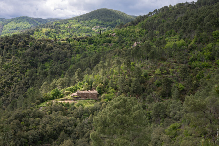 6 jours sur le sentier GRP Le Cévenol