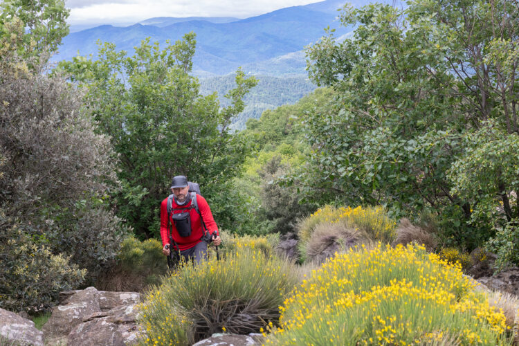 6 jours sur le sentier GRP Le Cévenol
