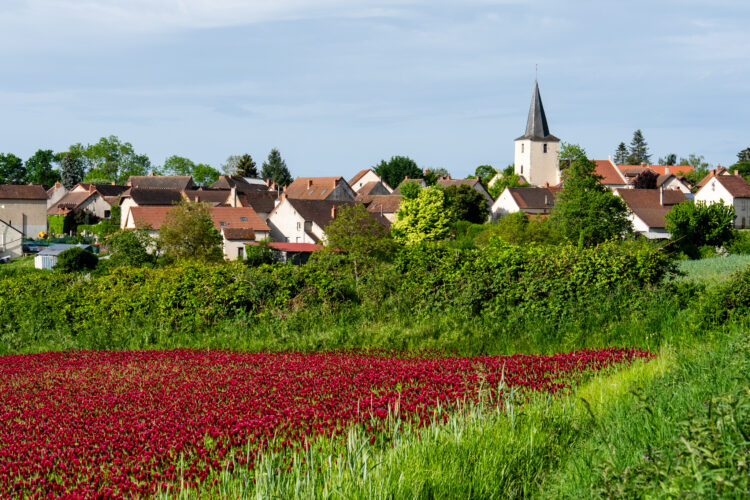 Lalizolle, GR de Pays du Val de Sioule