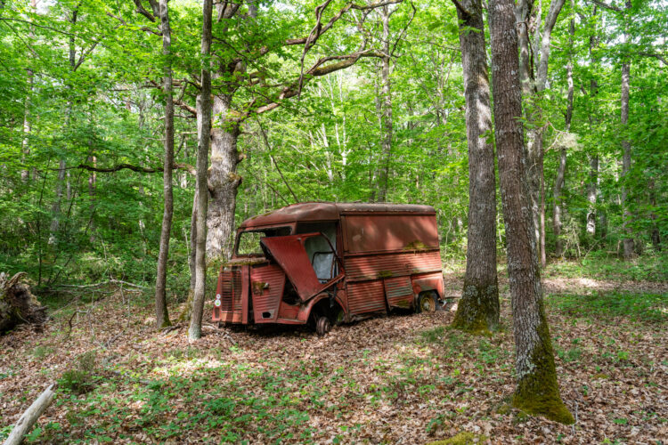 Into the Wild dans l'Allier