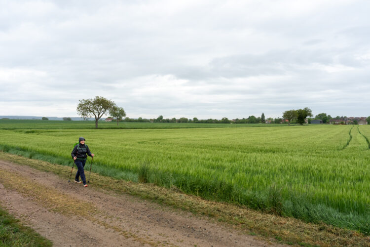 Sur le GR de Pays du Val de Sioule