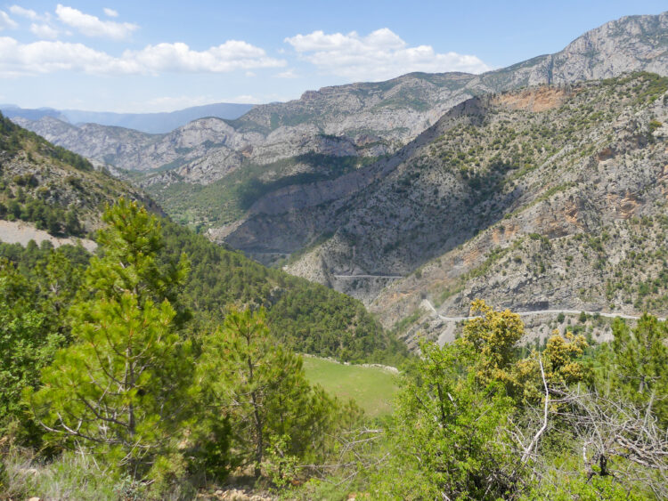 vue de la route en bas, depuis les environs du collet del Bas