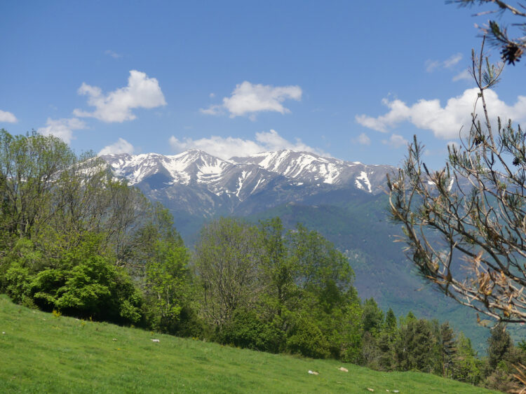 massif du Canigou depuis les environs du col d'Ares
