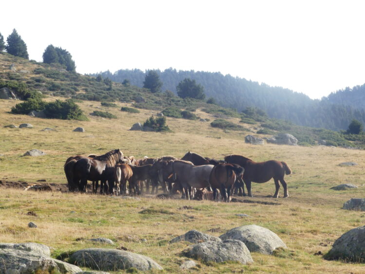Grand tour du Carlit
