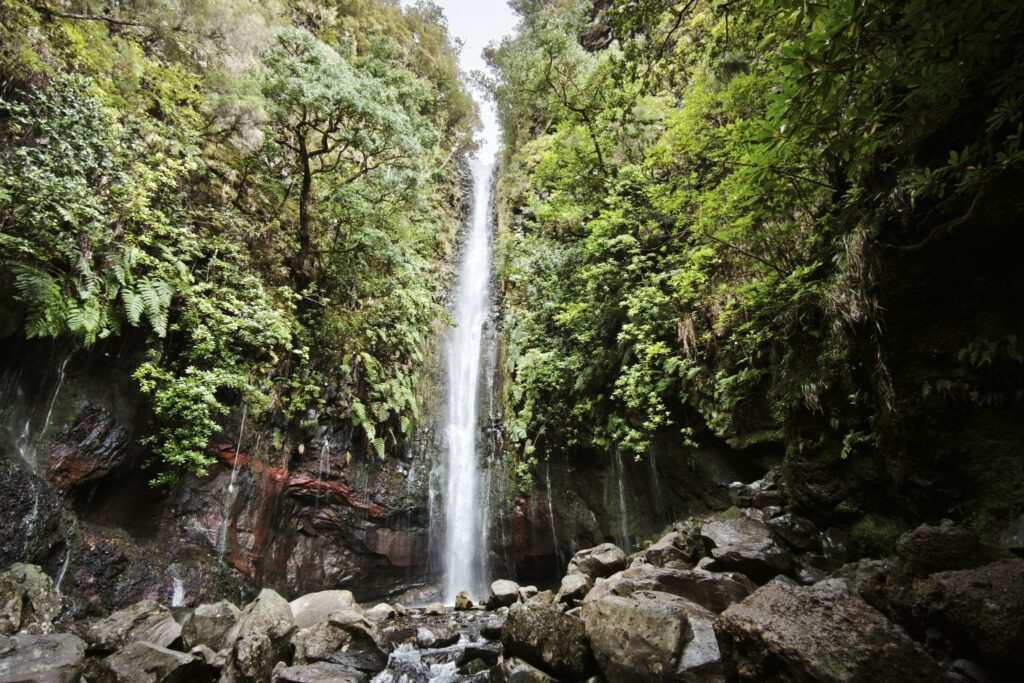 Cascade Do Risco