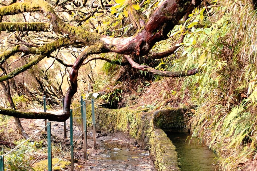 Levada do Furado