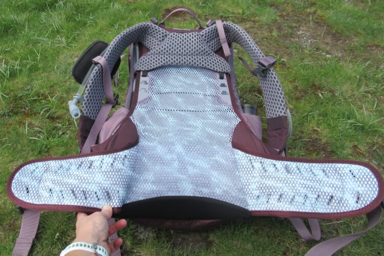 Ceinture ErgoPull et bretelles rembourrées du Sirrus 24
