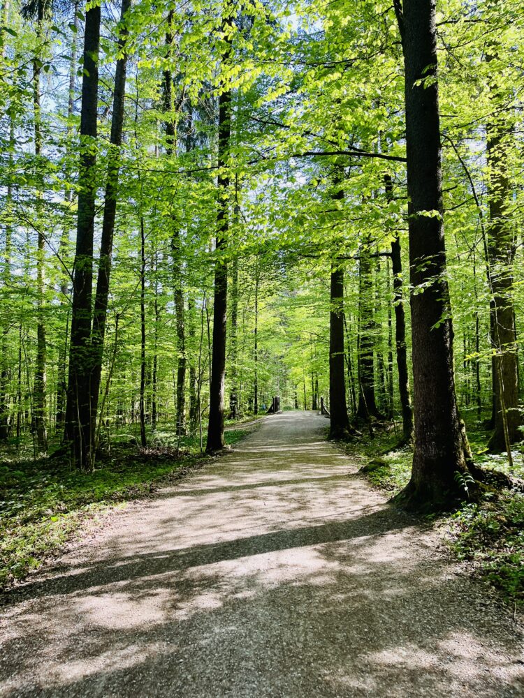 Les pistes grand luxe de Bavière